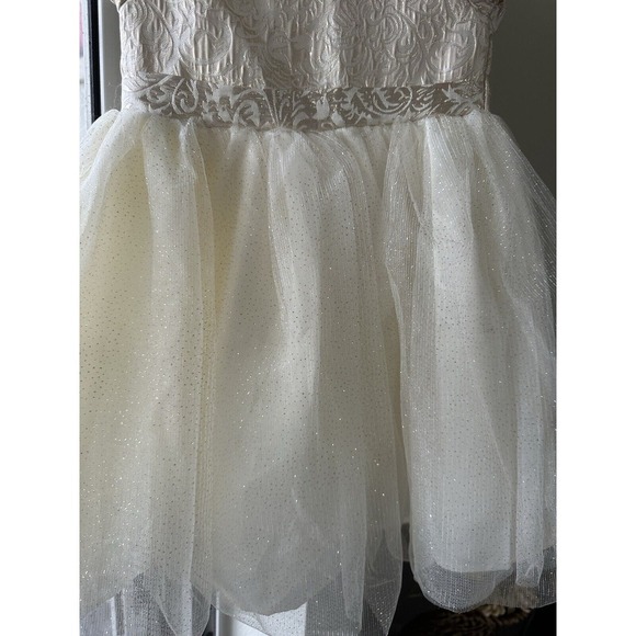 Blueberi Boulevard Holiday Flower Girl Dress, 4 EUC - Picture 3 of 6